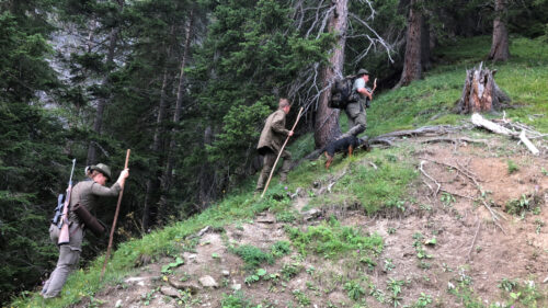 Mit dem Berufsjagdmeister im Bergrevier: Jäger in den Alpen