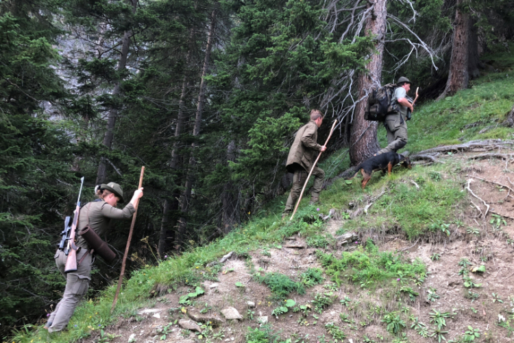 Mit dem Berufsjagdmeister im Bergrevier: Jäger mit Wanderstöcken in den Alpen